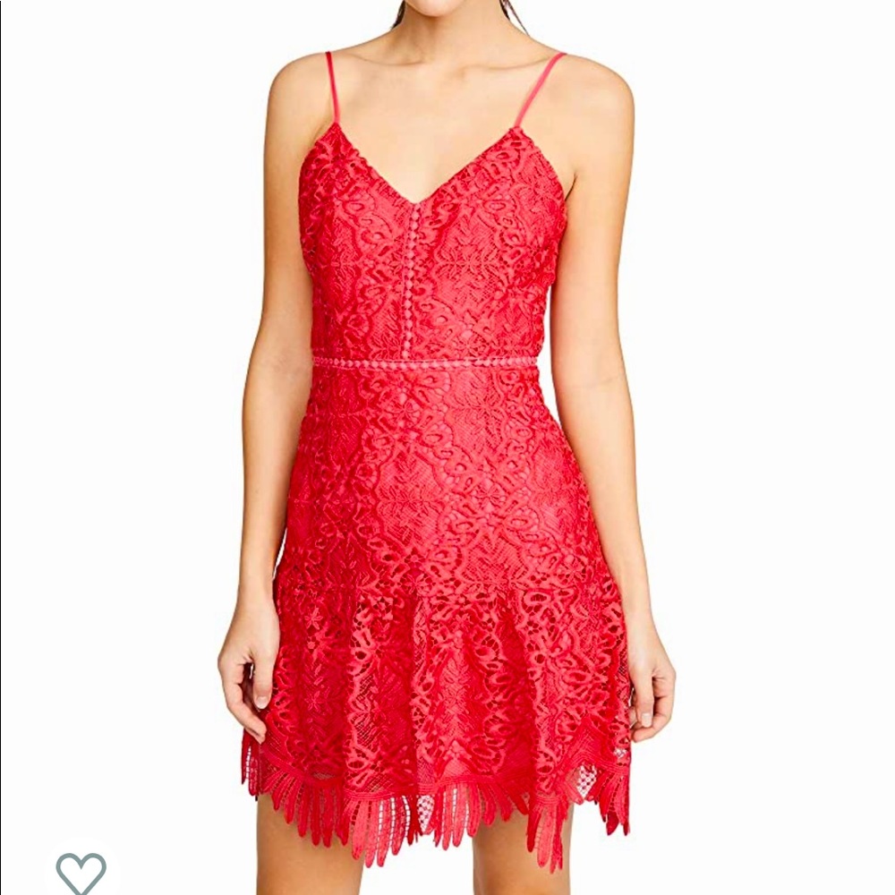 Women's Party Has Arrived Scalloped Lace Dress